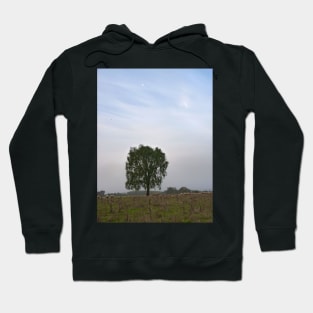 Sheeps and a lonely tree Hoodie